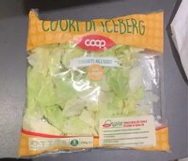 Cuori di iceberg