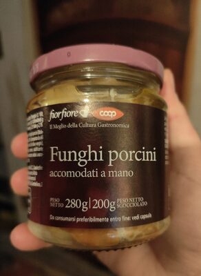 Funghi porcini