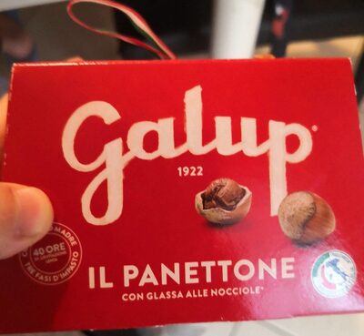 Galup panettone