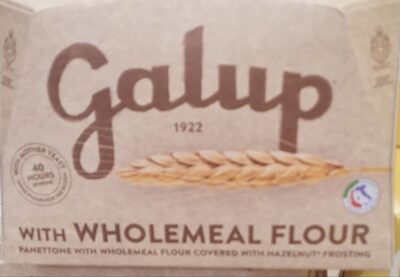 Panettone front packaging