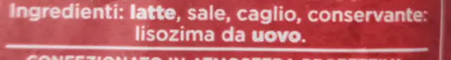 Grana Padano ingredients label