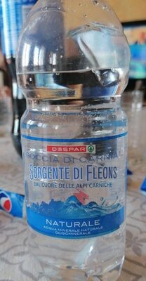 Sorgente Di Fleons