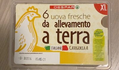 Uova fresche da allevamento a terra XL
