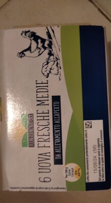 Sei uova fresche medie da allevamento all'aperto