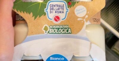 Yogurt bianco intero