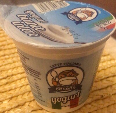 Yogurt Bianco Intero