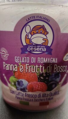 Gelato di Romagna panna e frutti di bosco
