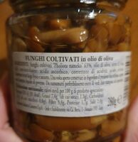 Funghi pholiota nameko