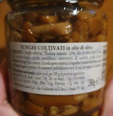 Funghi pholiota nameko