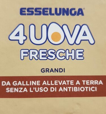 Uova fresche grandi - NO Antibiotici