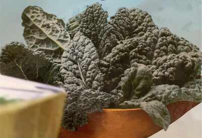 Cavolo nero foglia a foglia