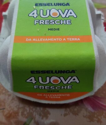 4 Uova Fresche Medie front packaging