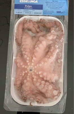Polpo congelato