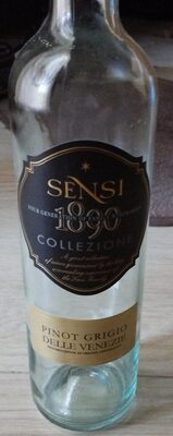 Pinot Grigio Delle Venezie