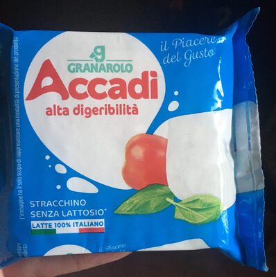 Stracchino senza lattosio