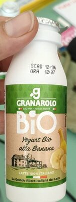 Yogurt bio alla banana