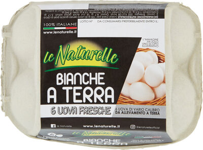 Uova fresche bianche a terra