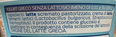 Yogurt Greco Bianco senza lattosio ingredients label