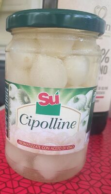 Cipolline