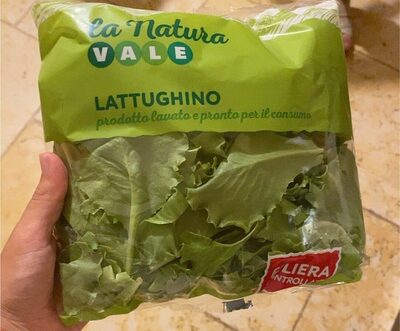Lattughino
