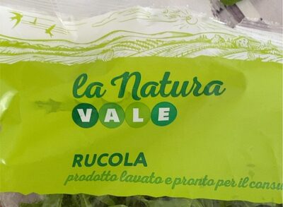 rucola