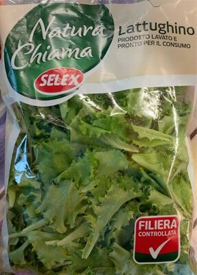 Lattughino
