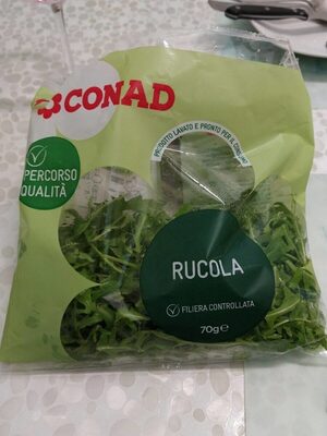 Rucola
