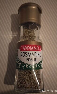 Rosmarino foglie