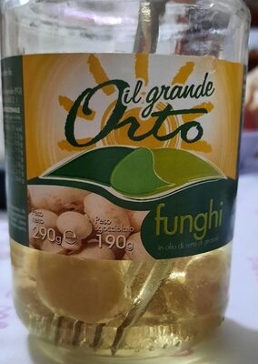 Funghi in olio di semi di girasole
