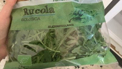 Rucola