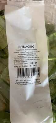Spinacino