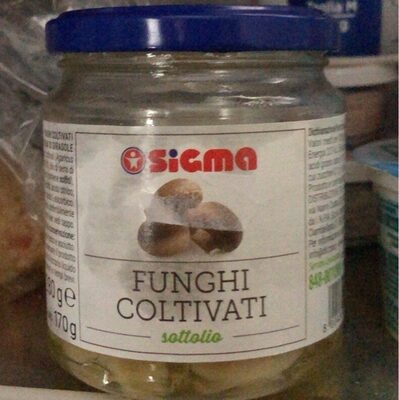 Funghi coltivati