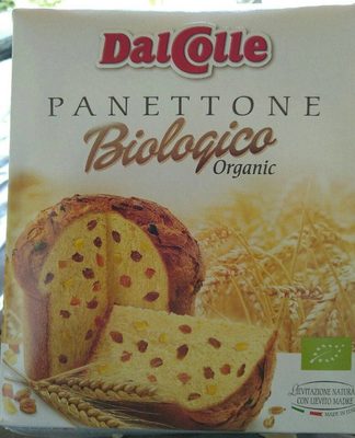 Panettone Biologico