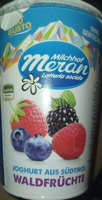 Joghurt waldfrüchte - yogurt intero frutti bosco