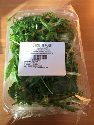 Rucola