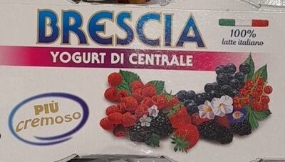 Brescia yogurt di centrale frutti bosco
