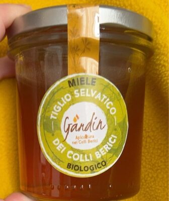 Miele Tiglio Selvatico