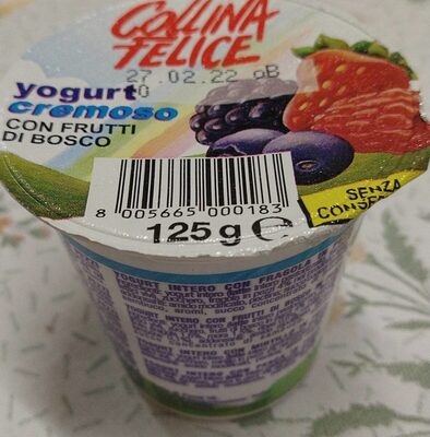 Yogurt cremoso ai frutti di bosco