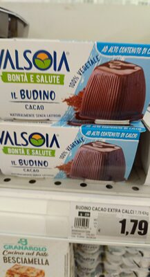 Il Budino Cacao valsoia