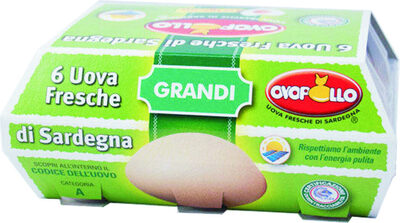 Uova allevate a terra grandi