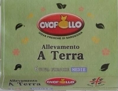 Uova fresche di Sardegna