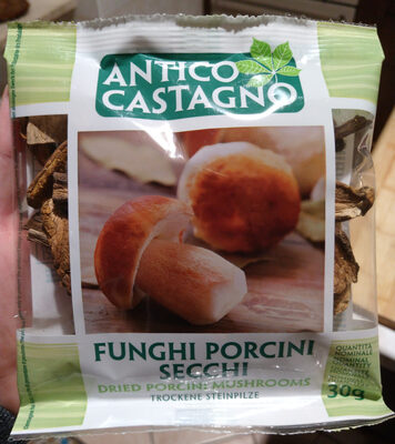 funghi porcini secchi