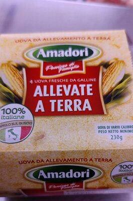 Uova allevamento a terra