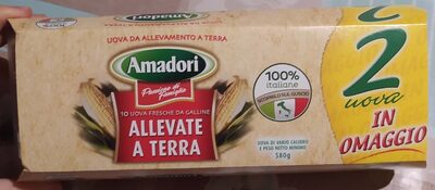 Uova fresche allevate a terra