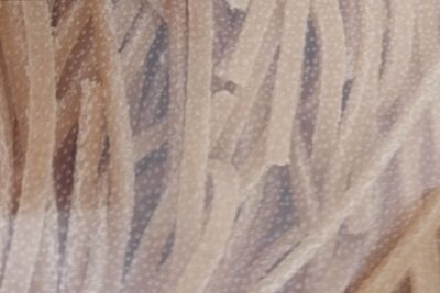 Pasta front packaging