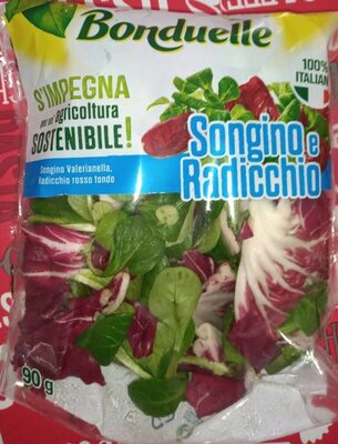 Songino e Radicchio