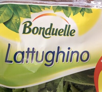 Lattughino
