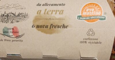 Da consumarsi preferibilmente entro: 6UOVA