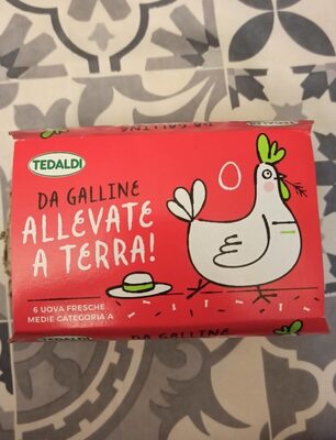 Uova allevate a terra