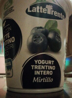 Yogurt Trentino Mirtillo